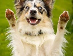 CHI STA A PERDE TEMPO SU FACEBOOK... ALZI 'A MANO !! - 07/03/2012