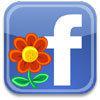 IN TEORIA C'HO TREMILA COSE DA FA... IN PRATICA OZIO SU FACEBOOK !! - 10/03/2012