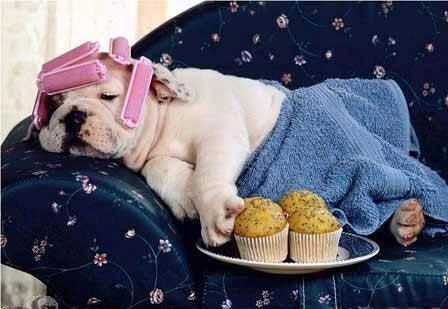 'A VITA E' BELLA.... MA 'A BELLA VITA E' MEJO !! - 11/03/2012