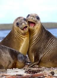 CHE FA 'N TRICHECO A LE SETTE DE MATTINA DAVANTI A 'N BAR? ... ASPETTA 'E FOCACCE !! - 12/03/2012