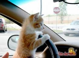 M'HANNO DETTO CHE DEVO INVESTI' PE' AVE' UN FUTURO MIJORE... BENE DA CHI DEVO COMINCIA' ?!?! - 12/03/2012