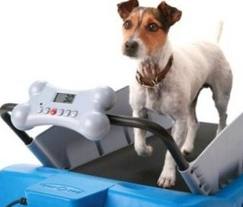 A NOI CHE CE PIACE MANTENECCE 'N FORMA !! - 12/03/2012