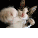 QUANNO VA TUTTO MALE, NUN TE PREOCCUPA'... AL PEGGIO NUN C'E' MAI FINE !! - 12/03/2012