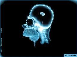 PARLA' E' 'NA CAPACITA' DE MOLTI... ASCOLTA' E' 'NA VIRTU' DE POCHI... NUN CAPI' NIENTE E' 'NA DOTE DE TANTI !! - 13/03/2012