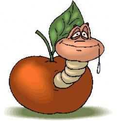 SAPETE COSA C'E' DE PIU' DISGUSTOSO CHE MORDE 'NA MELA E TROVACCE UN VERME ?? ... MORDE 'NA MELA E TRAVACCE MEZZO VERME !! - 13/03/2012