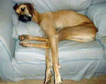 IO SO' UN TIPO SPORTIVO... - 14/03/2012