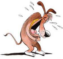 ALLA FINE DE 'NA DURA GIORNATA... NUN C'E' DE MEJO CHE FASSE 'NA BELLA RISATA !! - 15/03/2012