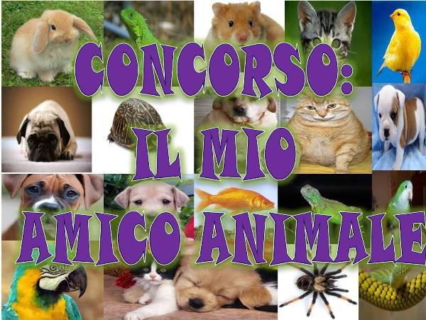 CONCORSO: IL MIO AMICO ANIMALE !! - 24/03/2012