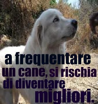 AMMAZZA CHE VERITA' !! - 03/04/2012