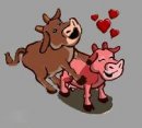 ATTENZIONE: HAI DIMENTICATO ER CANCELLO DE FARMVILLE APERTO !! - 05/03/2012