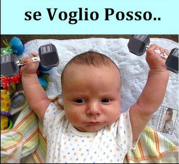 Immagine Divertente - 17/12/2012