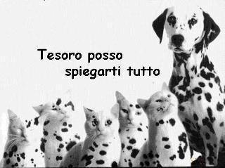 TE POSSO SPIEGA'... - 24/01/2013