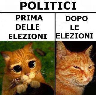 Immagine Divertente - 10/02/2013