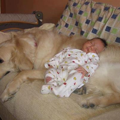 Immagine Divertente - 20/02/2013