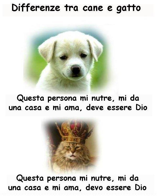 Immagine Divertente - 08/03/2013