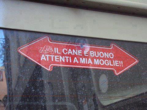 Immagine Divertente - 10/03/2013