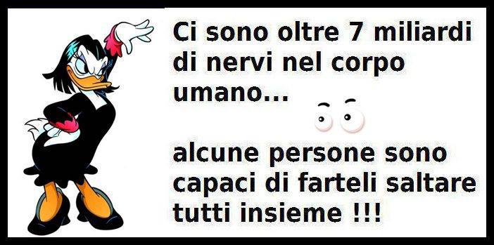 Immagine Divertente - 07/04/2013