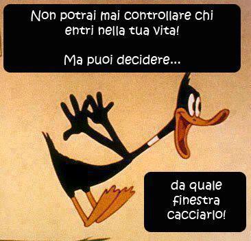 Immagine Divertente - 07/04/2013