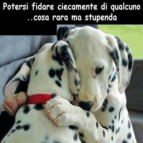 Immagine Divertente - 14/04/2013