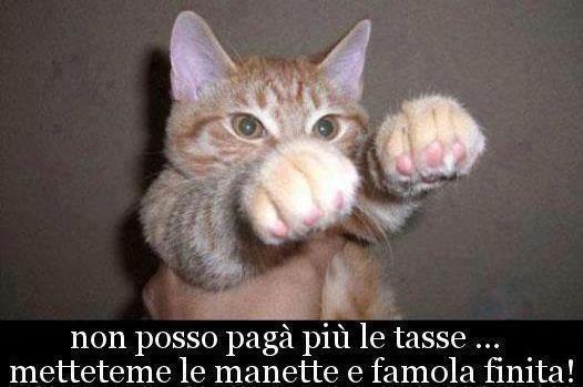 Immagine Divertente - 21/04/2013