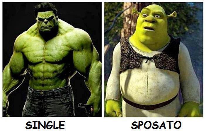 Immagine Divertente - 23/04/2013