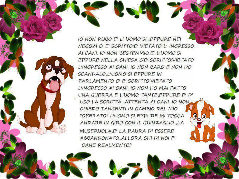 Immagine Divertente - 01/05/2013