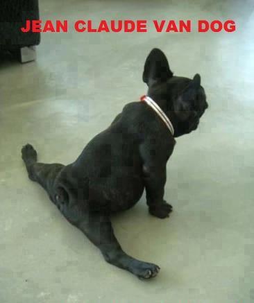 Immagine Divertente - 01/05/2013