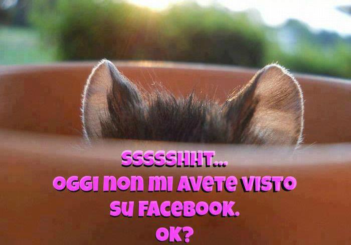 SE SEMO CAPITI ?! - 05/05/2013