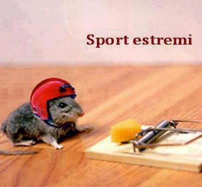 Immagine Divertente - 07/05/2013