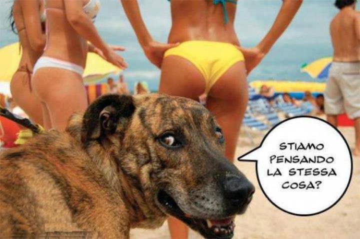 Vignetta Divertente - 07/09/2013