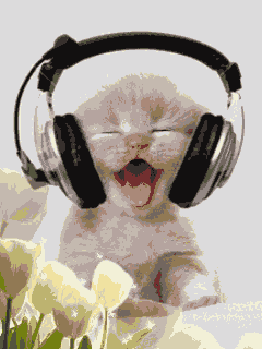 NUN ME DISTURBATE... ME STO A RILASSA' !! - 15/04/2013