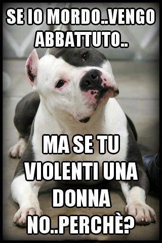 CHI ME 'O SPIEGA ?! - 25/06/2012
