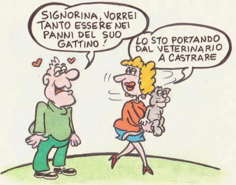 Vignetta Divertente - 31/07/2012