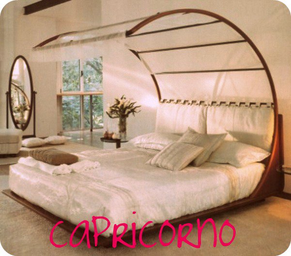 Er tuo segno zodiacale per un letto: CAPRICORNO - 07/06/2012