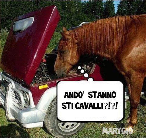 NUN SE TROVANO !! - 30/07/2012