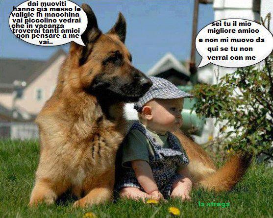 Immagine Divertente - 31/07/2012