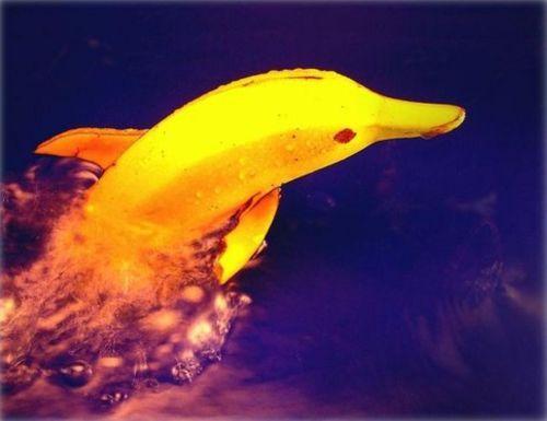 Immagine Divertente - 08/04/2012