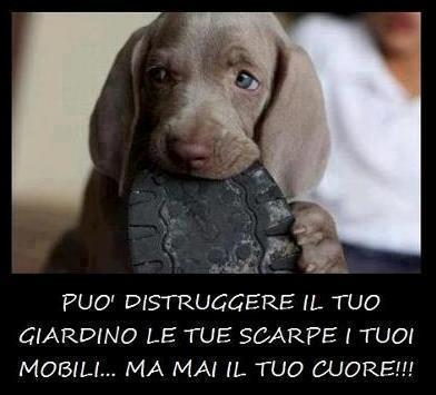 E' 'N GRANDE AMORE !! - 06/09/2012
