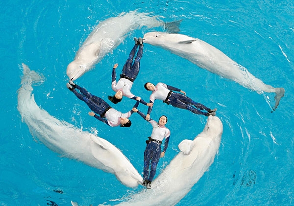 Immagine Divertente - 13/04/2012