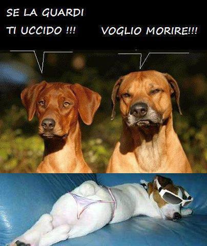 NUN LA GUARDA' !! - 06/09/2012