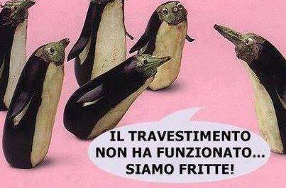 NUN C'E' SCAMPO !! - 11/09/2012