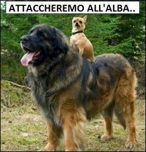 NUN SE FAMO SGAMA' !! - 12/09/2012