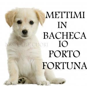 Immagine Divertente - 25/04/2012