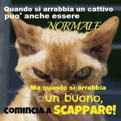MEJO NUN FAMME ARRABBIA' !! - 17/09/2012