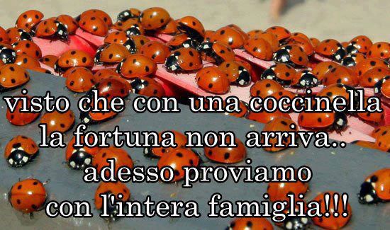 VEDEMO CHE SUCCEDE !! - 27/09/2012