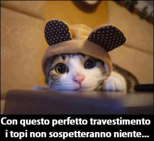 ME SO' TRAVESTITO ALLA GRANDE !! - 30/09/2012