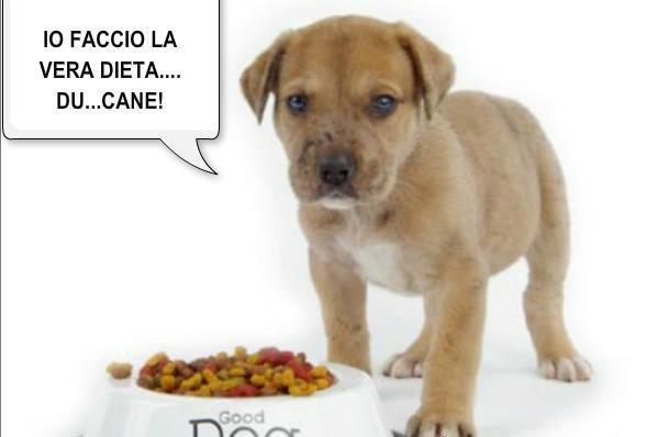 'A MEJO DIETA !! - 23/07/2012