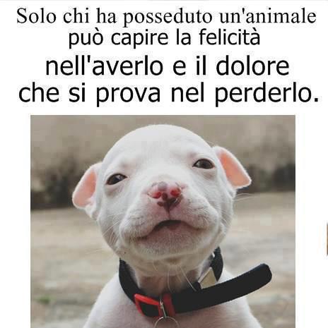 NUN SE PO' SPIEGA' !! - 26/07/2012