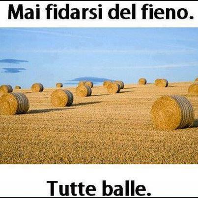 Immagine Divertente - 29/07/2012