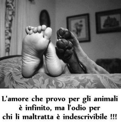 ME SO' SPIEGATO ?! - 29/07/2012